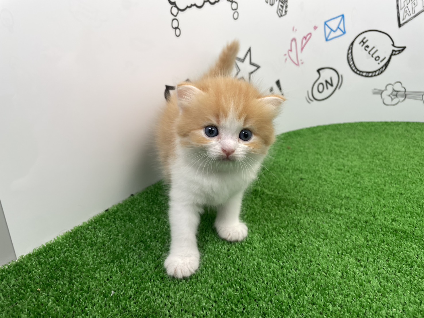 赤ちゃん写真2-1