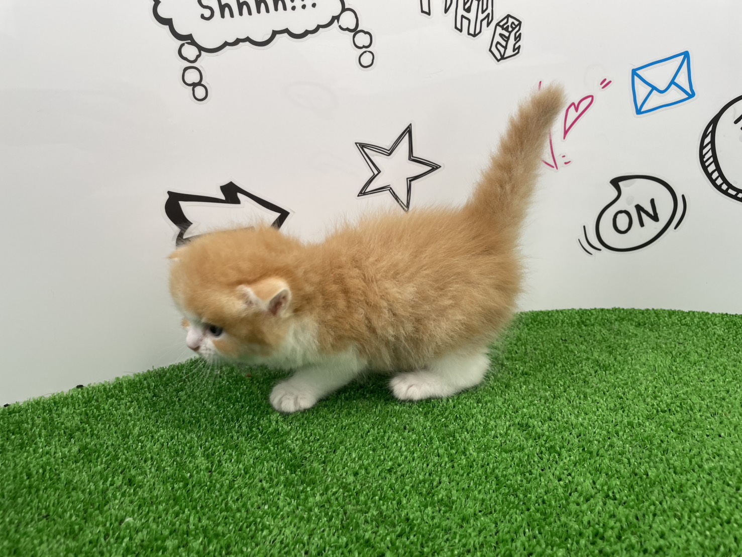赤ちゃん写真2-2