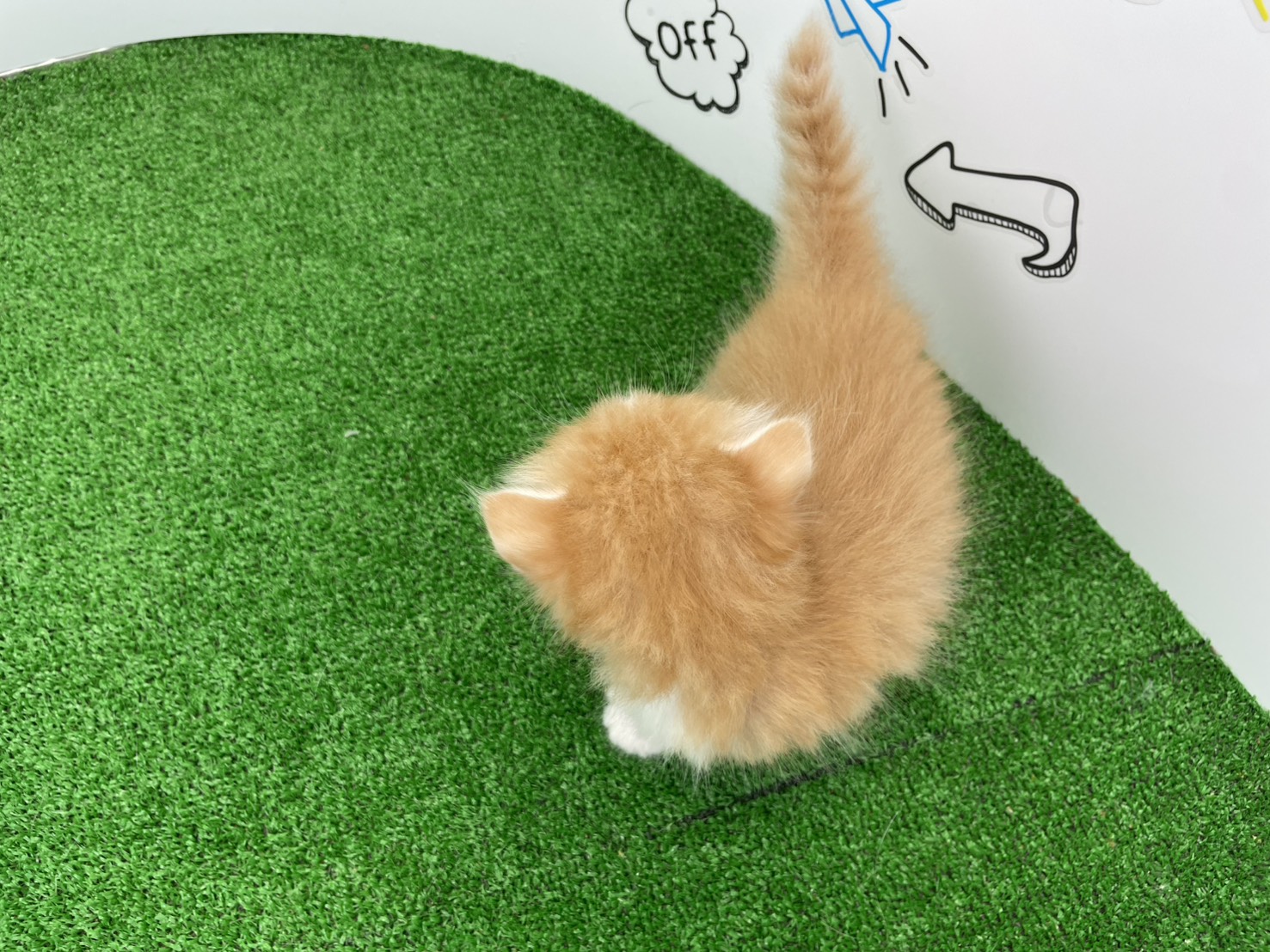 赤ちゃん写真2-3