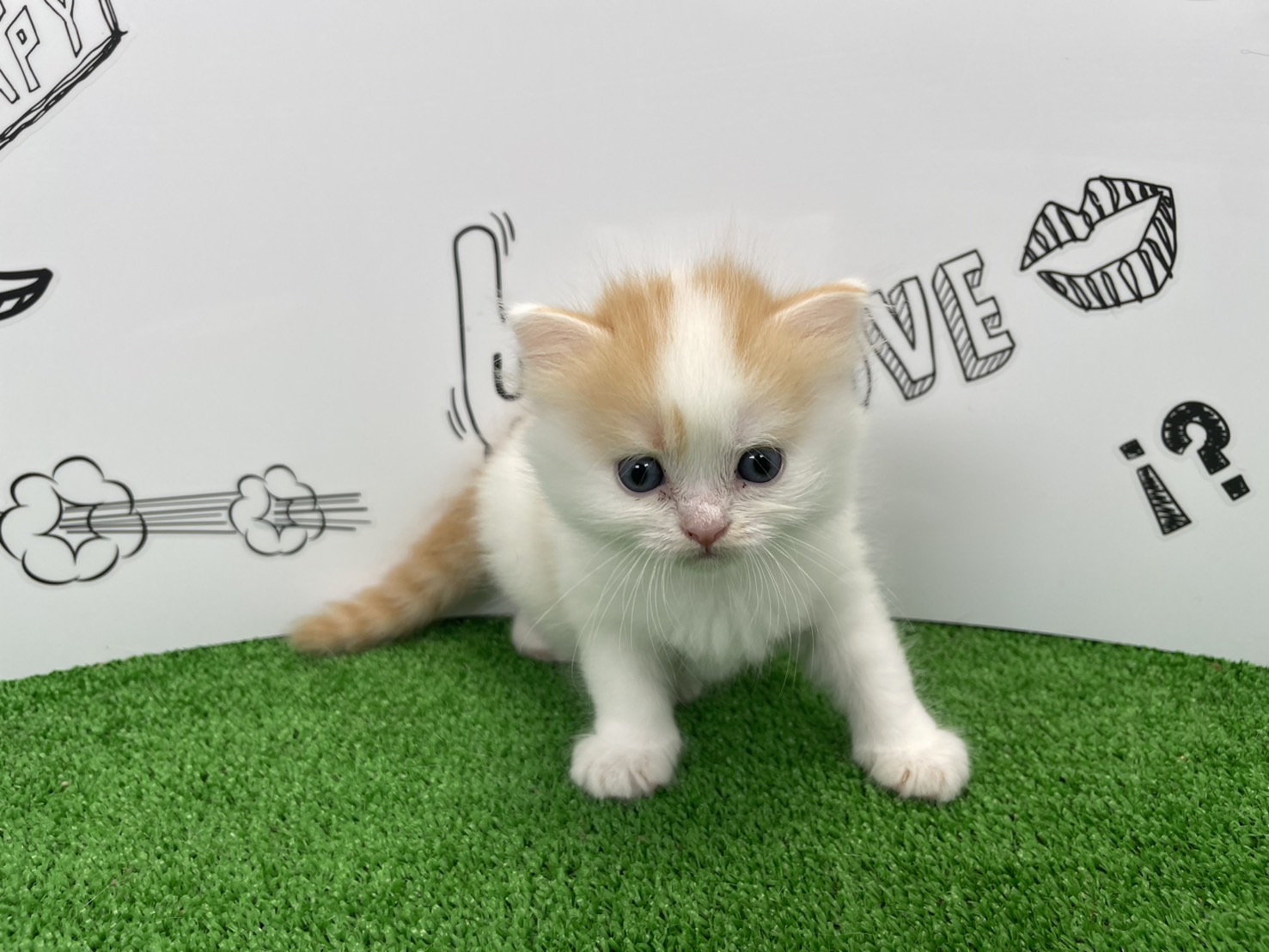赤ちゃん写真1-1