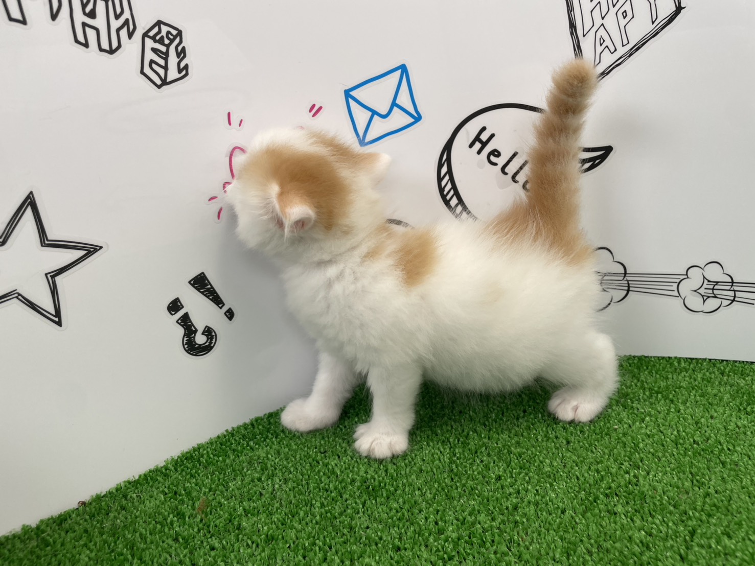 赤ちゃん写真1-2
