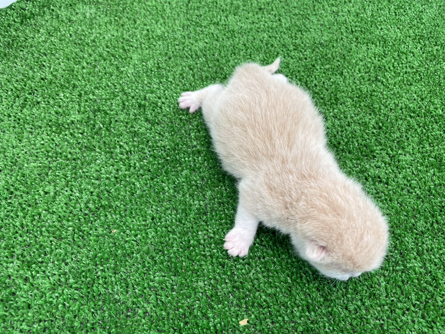 赤ちゃん写真1-3
