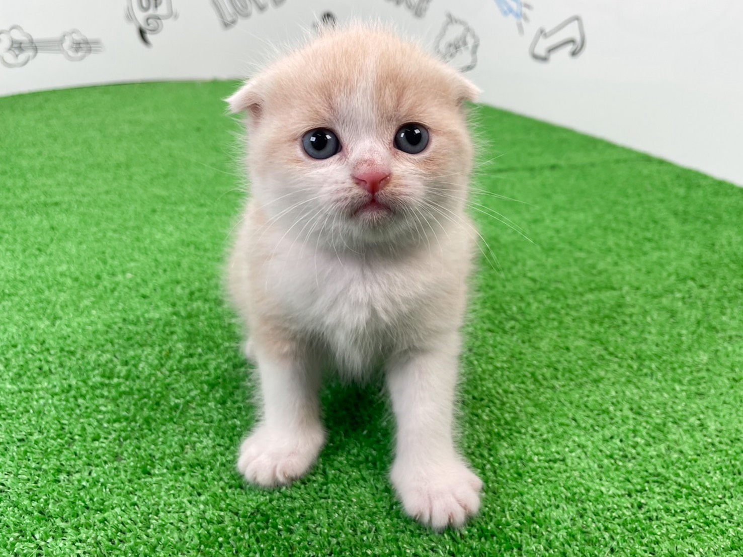赤ちゃん写真2-1