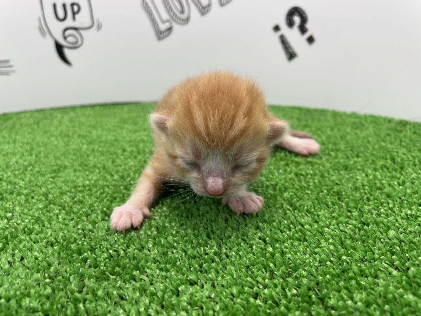 赤ちゃん写真1-1