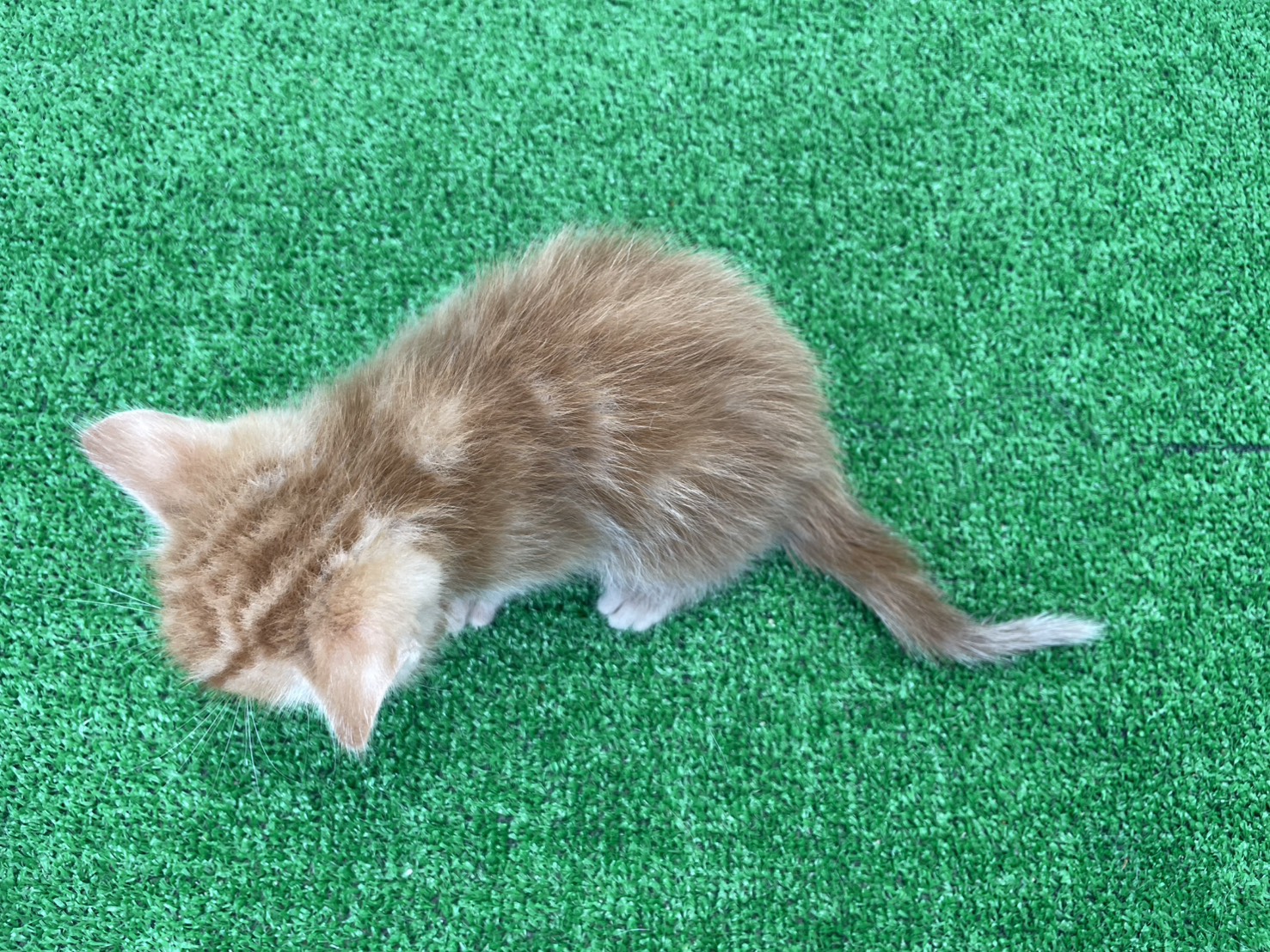 赤ちゃん写真2-3