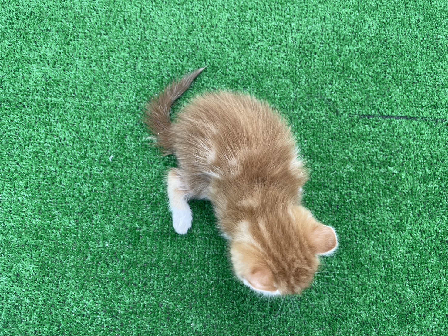 赤ちゃん写真2-3