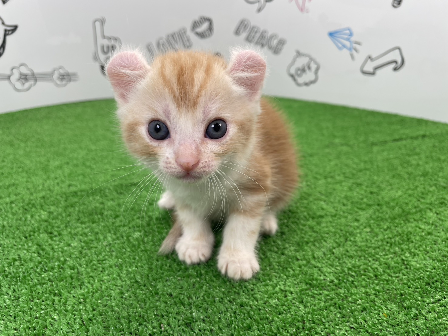 赤ちゃん写真2-1