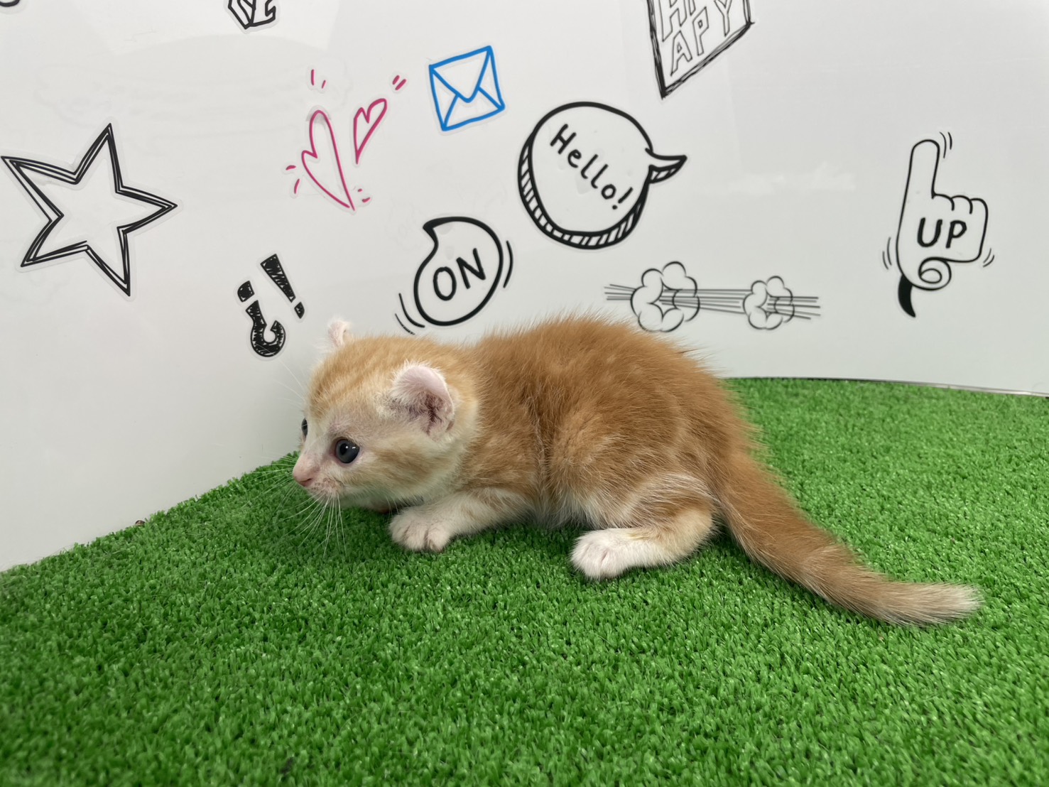 赤ちゃん写真2-2