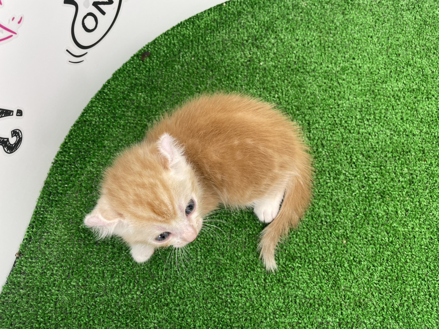 赤ちゃん写真2-3