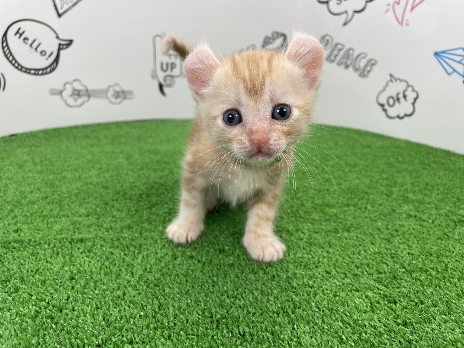 赤ちゃん写真2-1