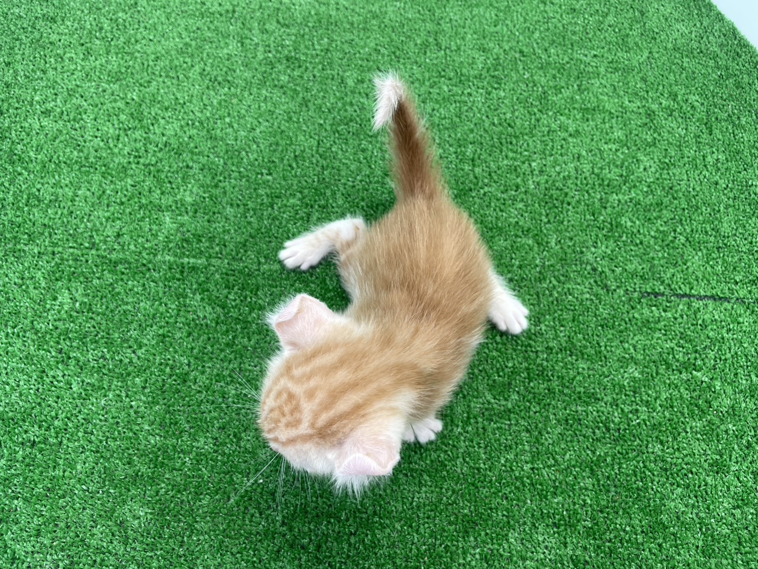 赤ちゃん写真2-3