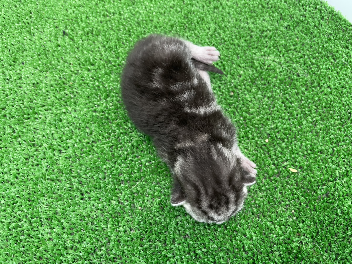赤ちゃん写真1-3
