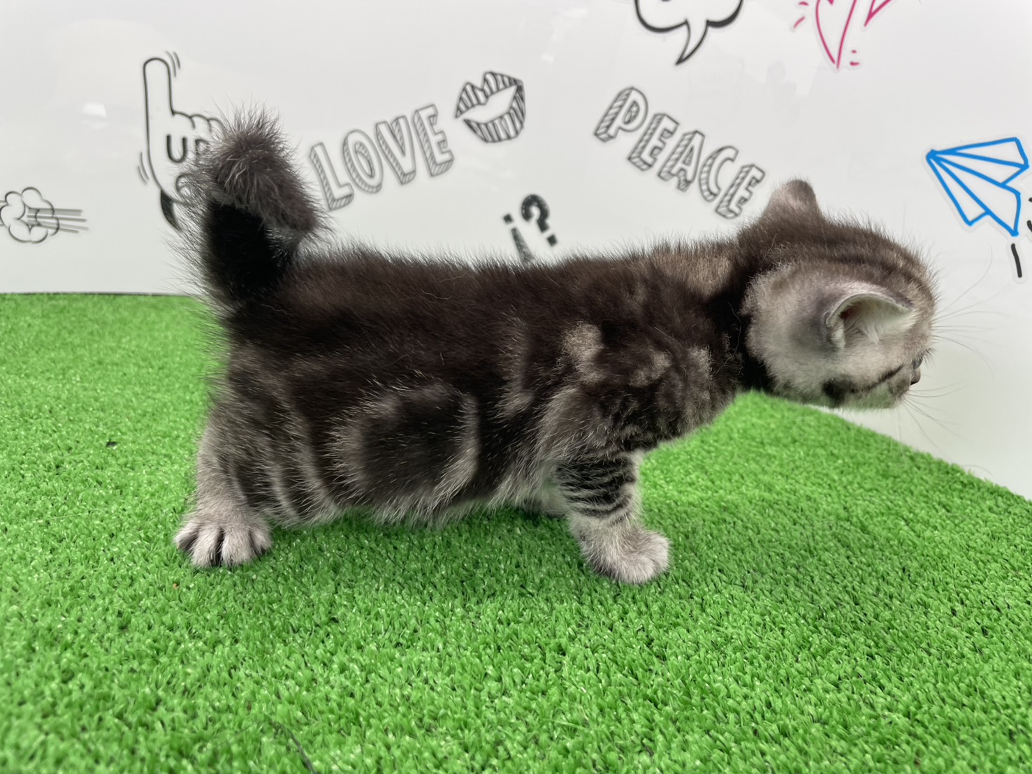 赤ちゃん写真2-2