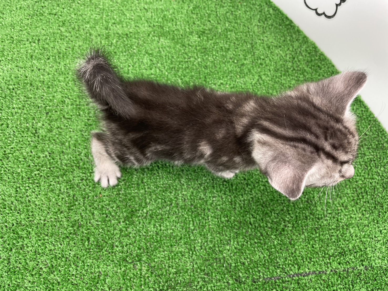 赤ちゃん写真2-3