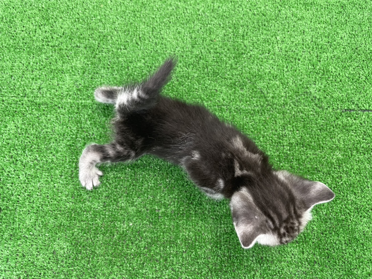 赤ちゃん写真2-3