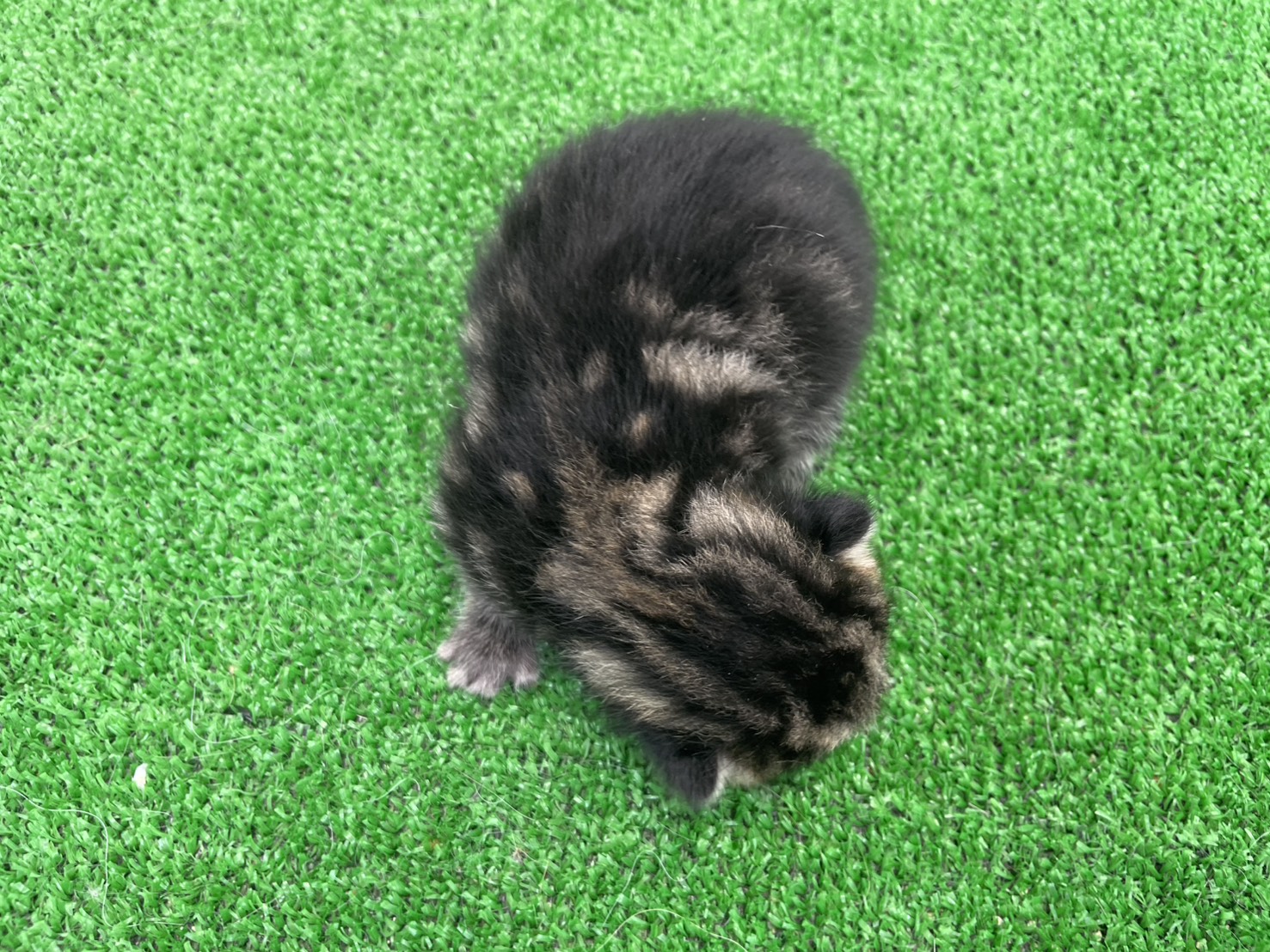 赤ちゃん写真1-3