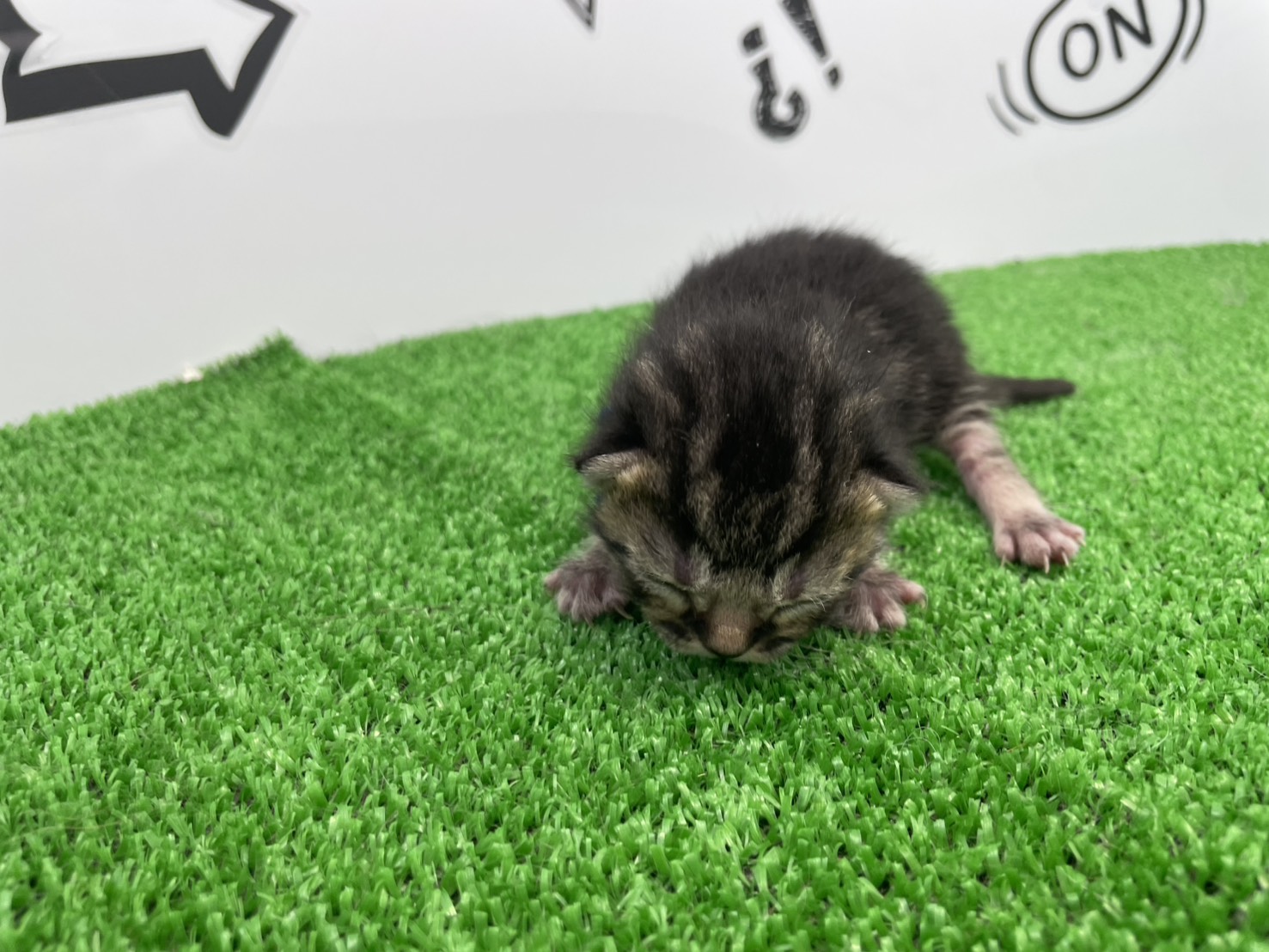 赤ちゃん写真1-1