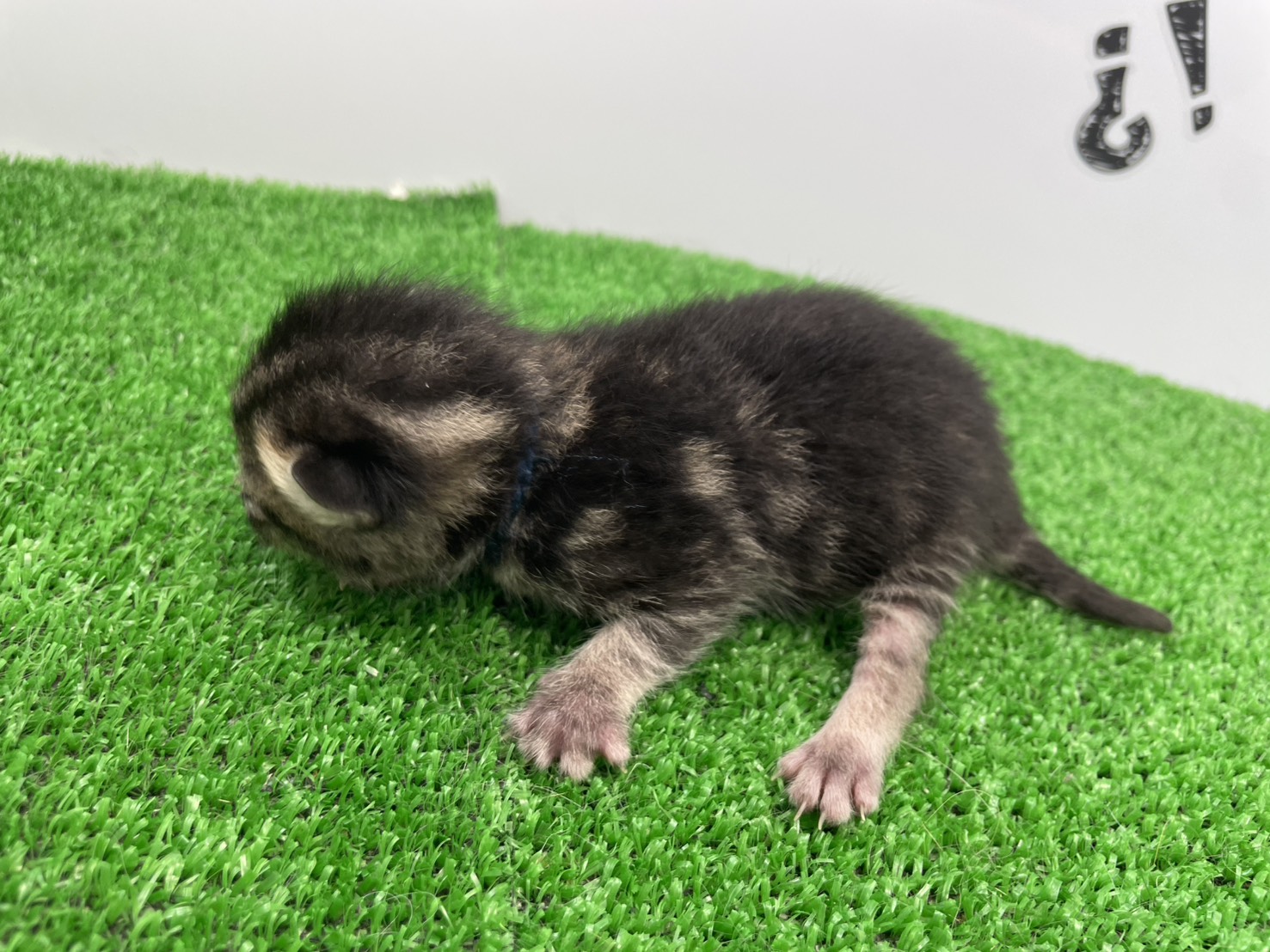 赤ちゃん写真1-2