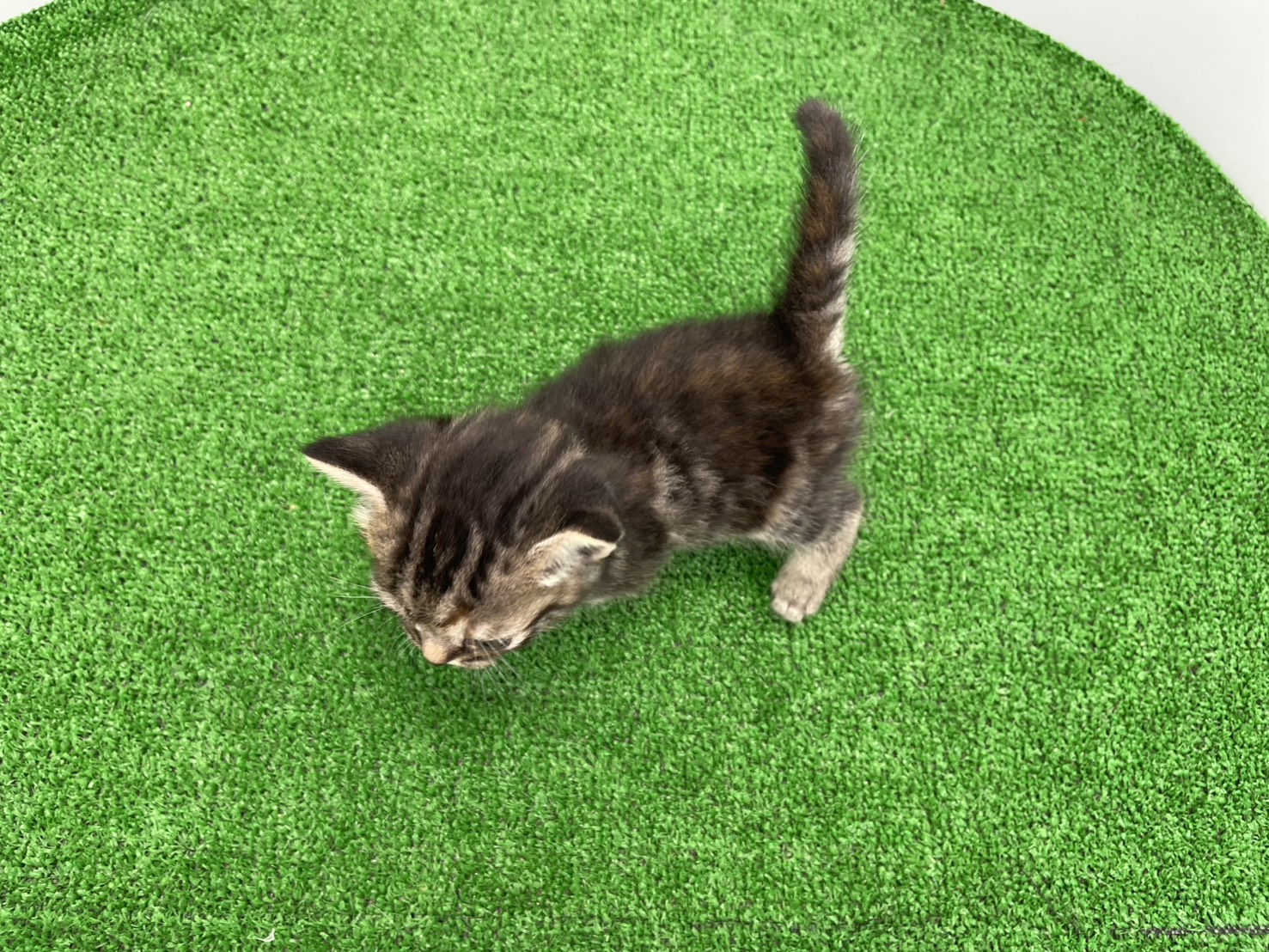 赤ちゃん写真1-3