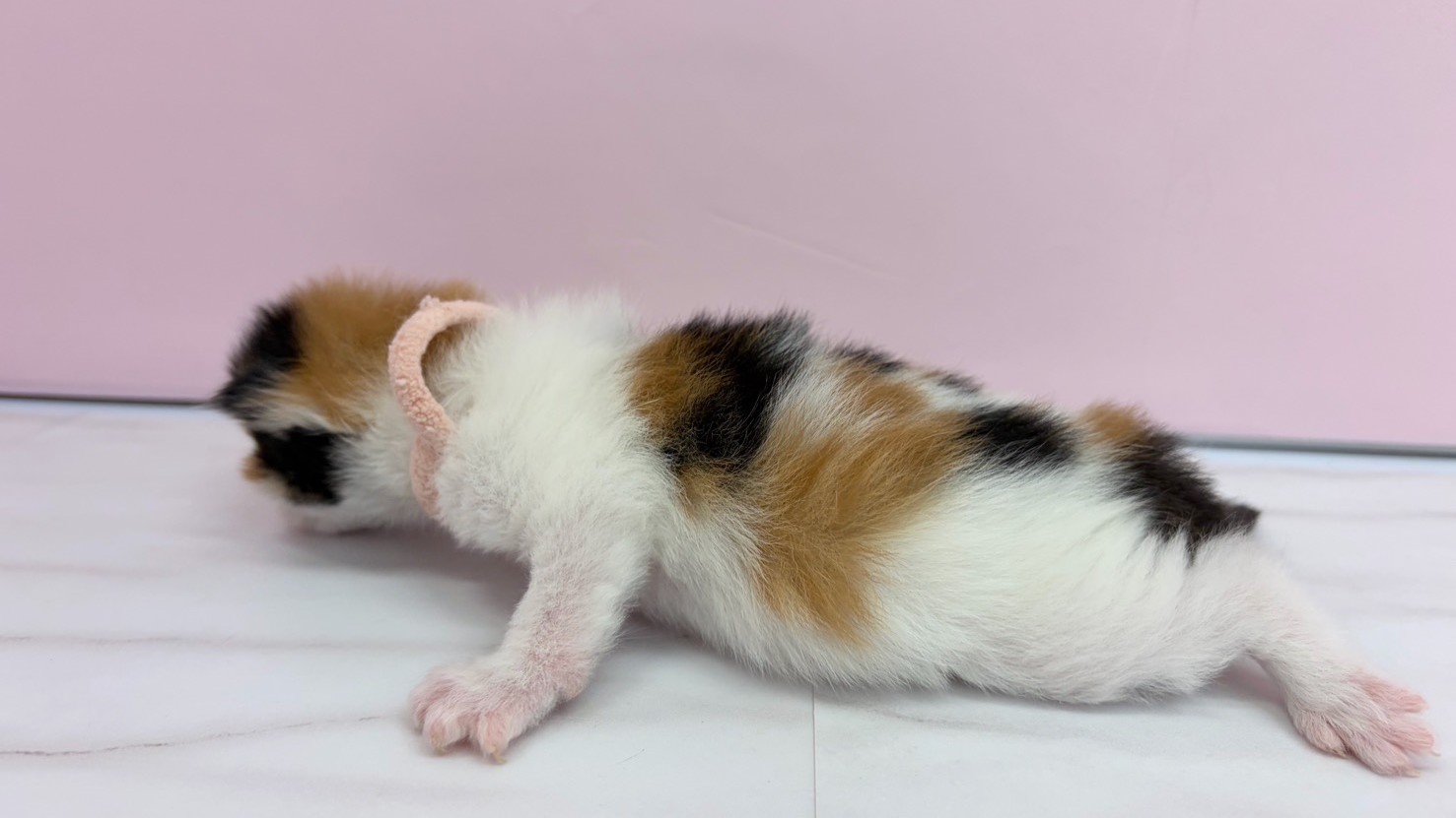 赤ちゃん写真1-2