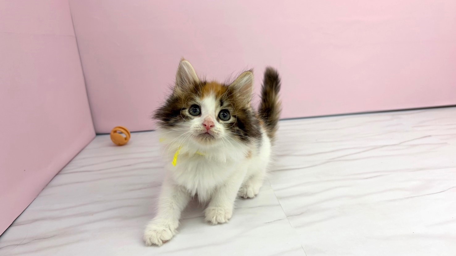 赤ちゃん写真2-1