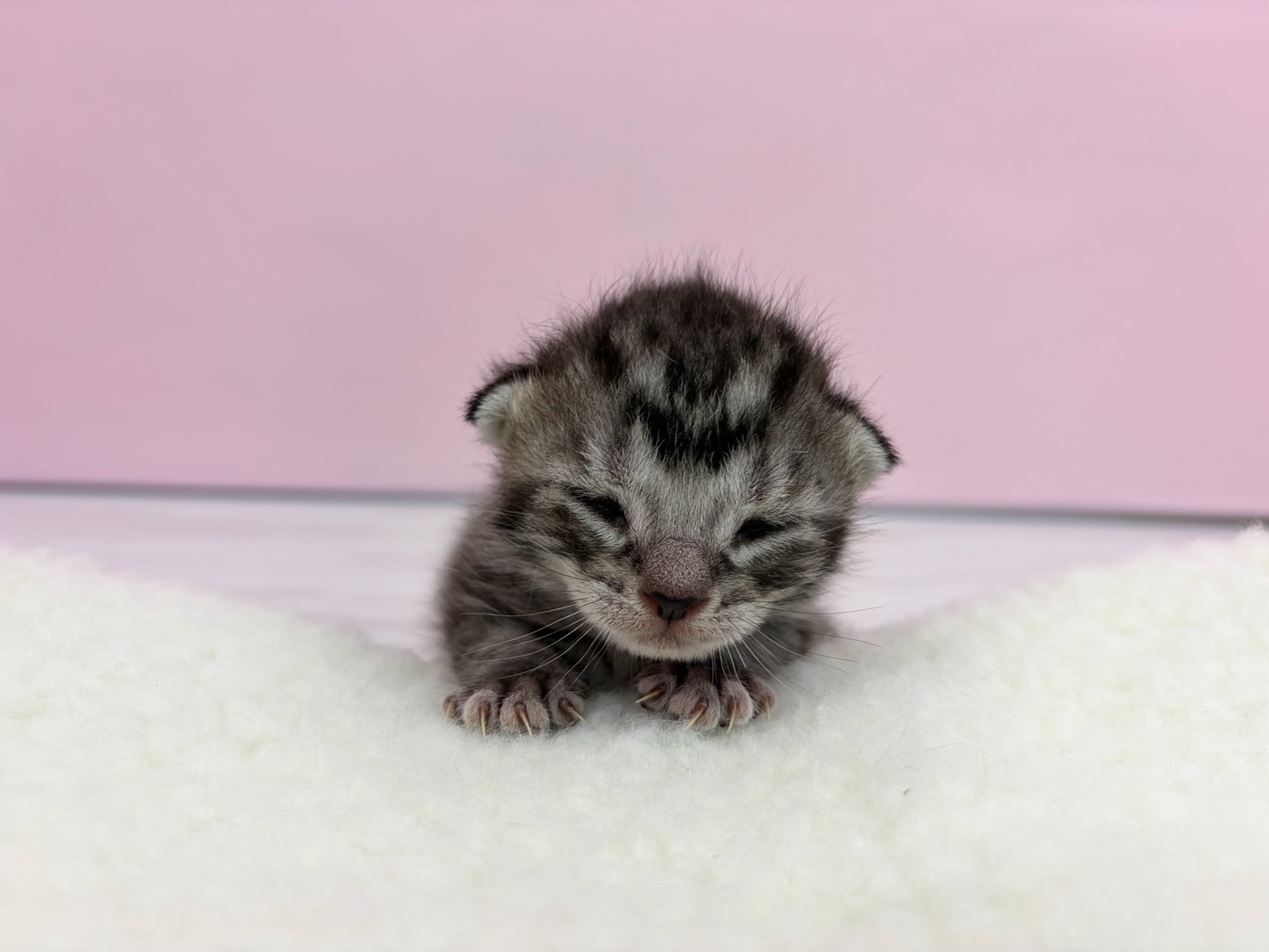 赤ちゃん写真1-1