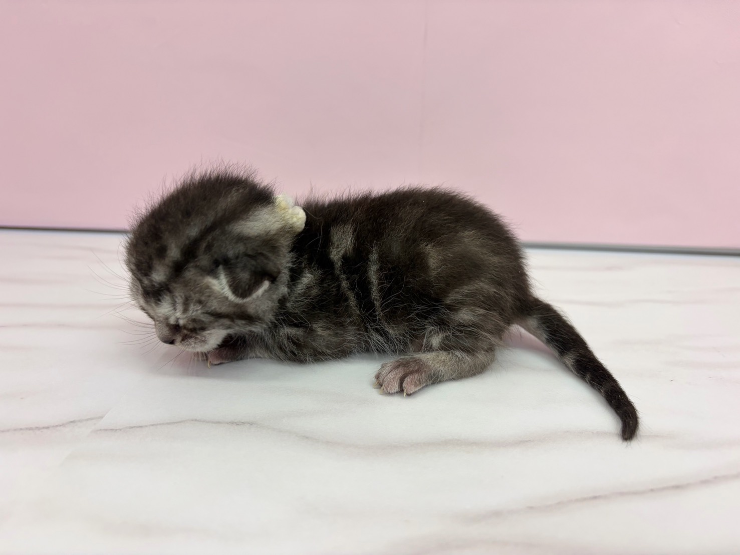 赤ちゃん写真1-2