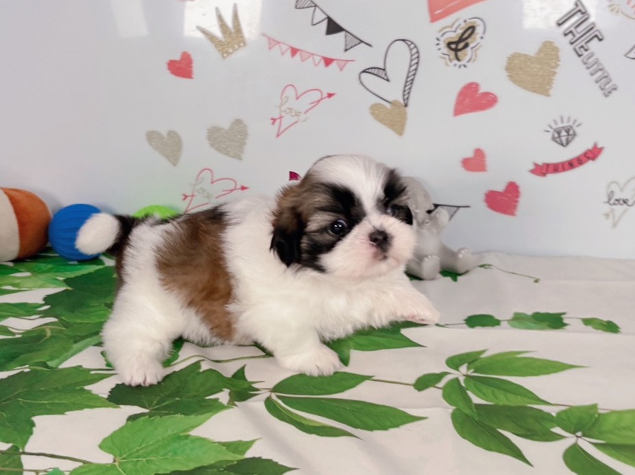 赤ちゃん写真2-2