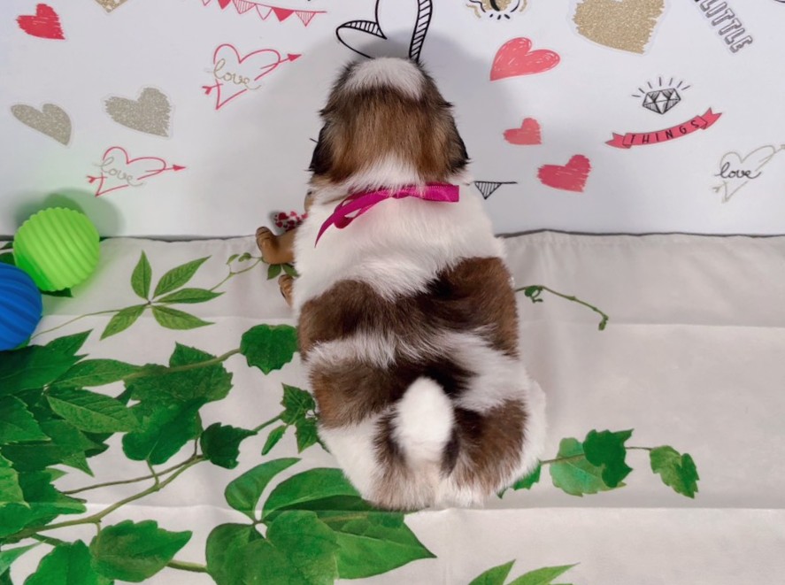 赤ちゃん写真2-3