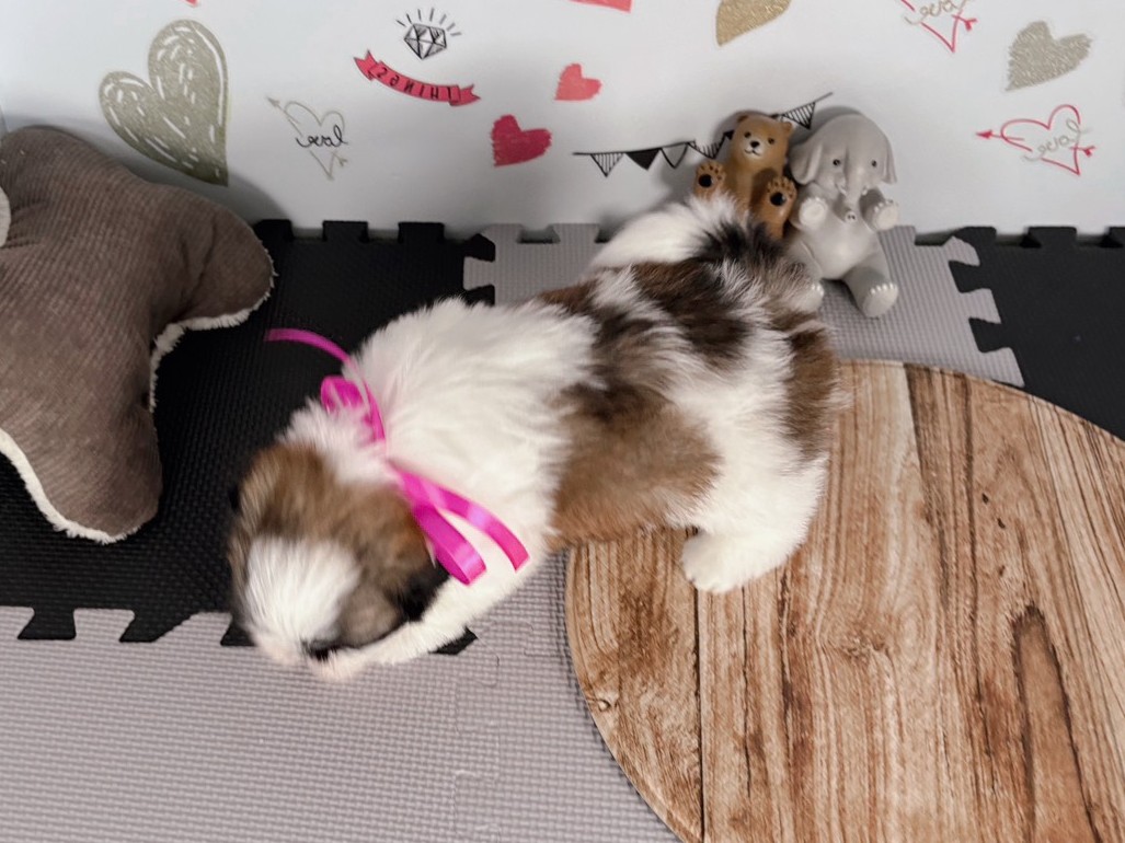 赤ちゃん写真3-3