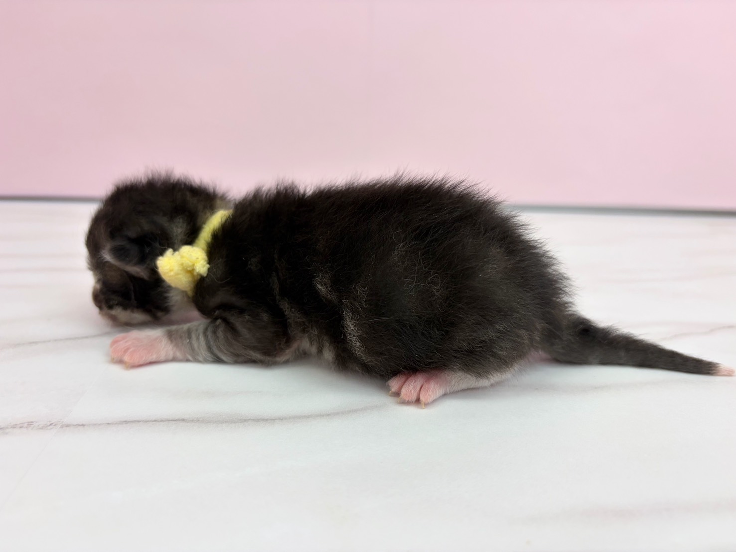 赤ちゃん写真1-2