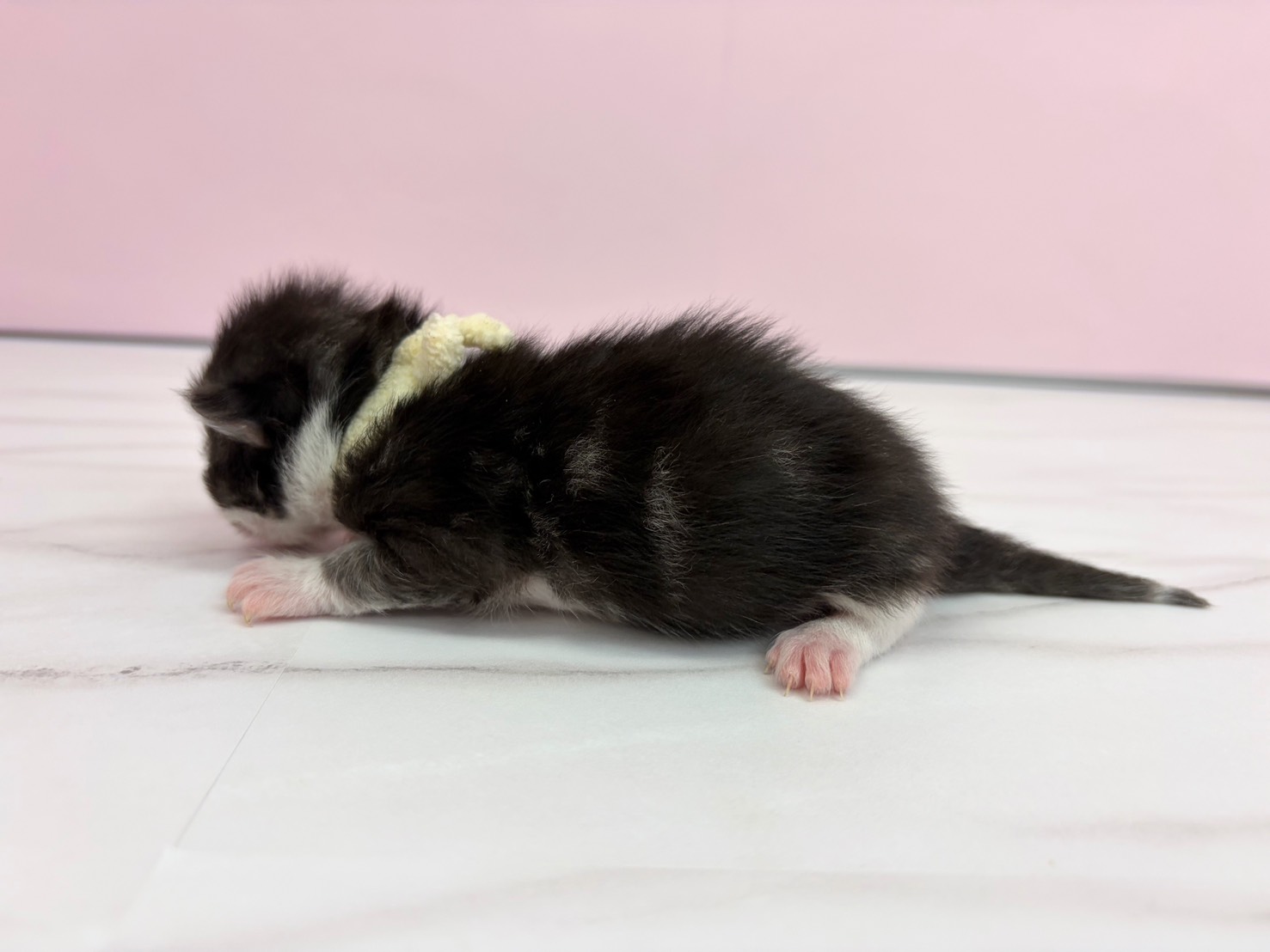 赤ちゃん写真1-2