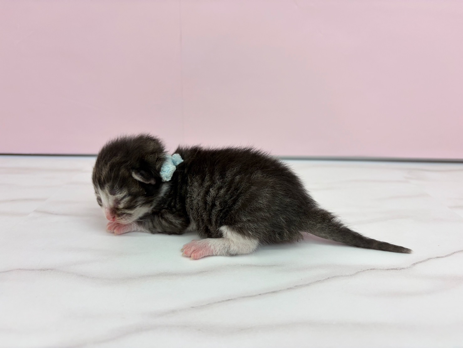 赤ちゃん写真1-2