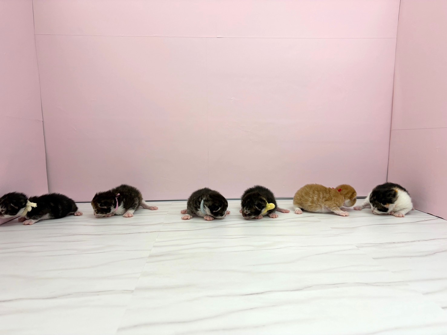 赤ちゃん写真1-3