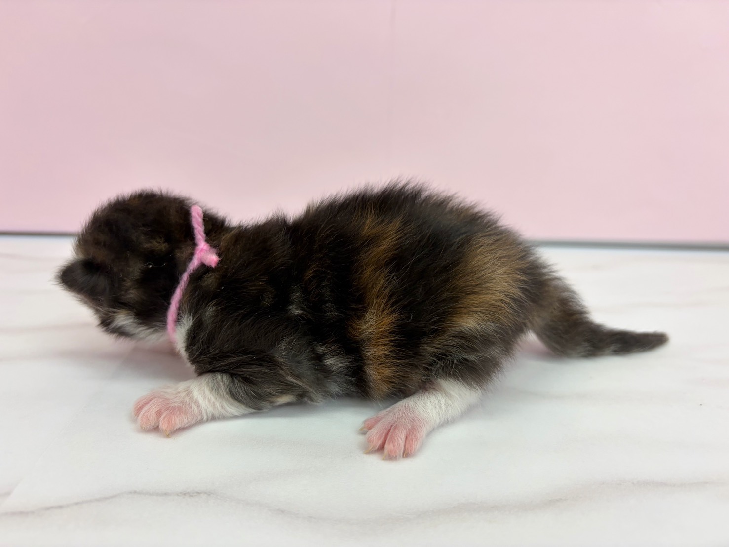 赤ちゃん写真1-2