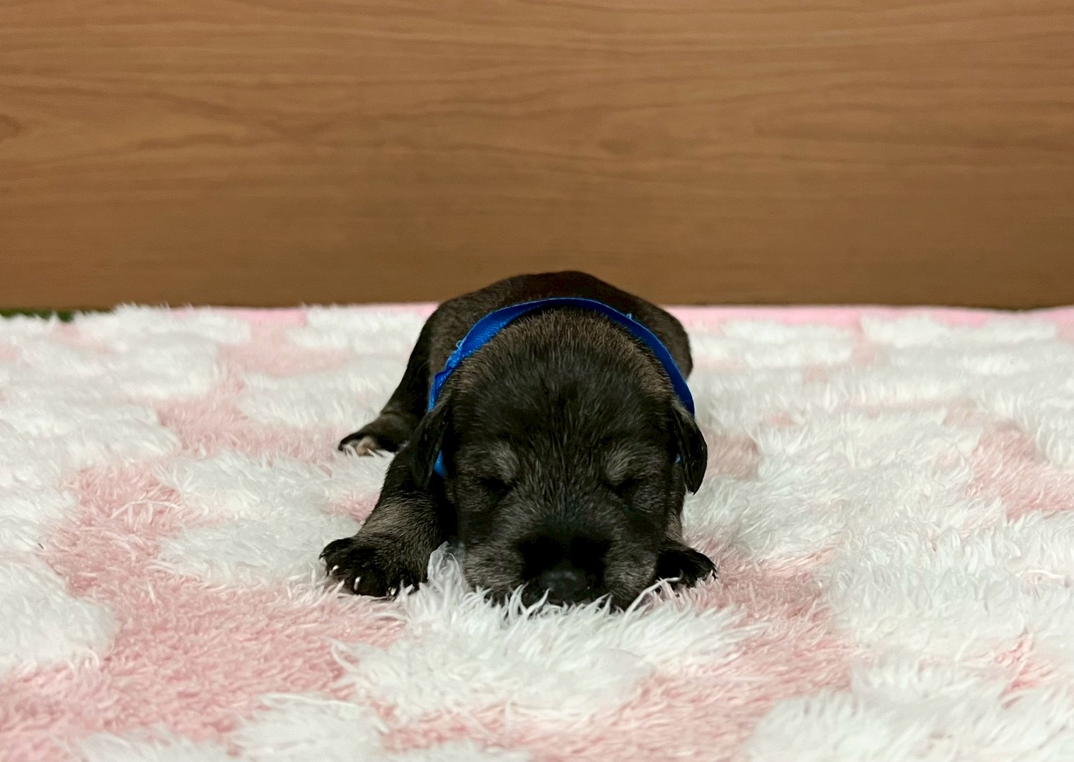 赤ちゃん写真1-1