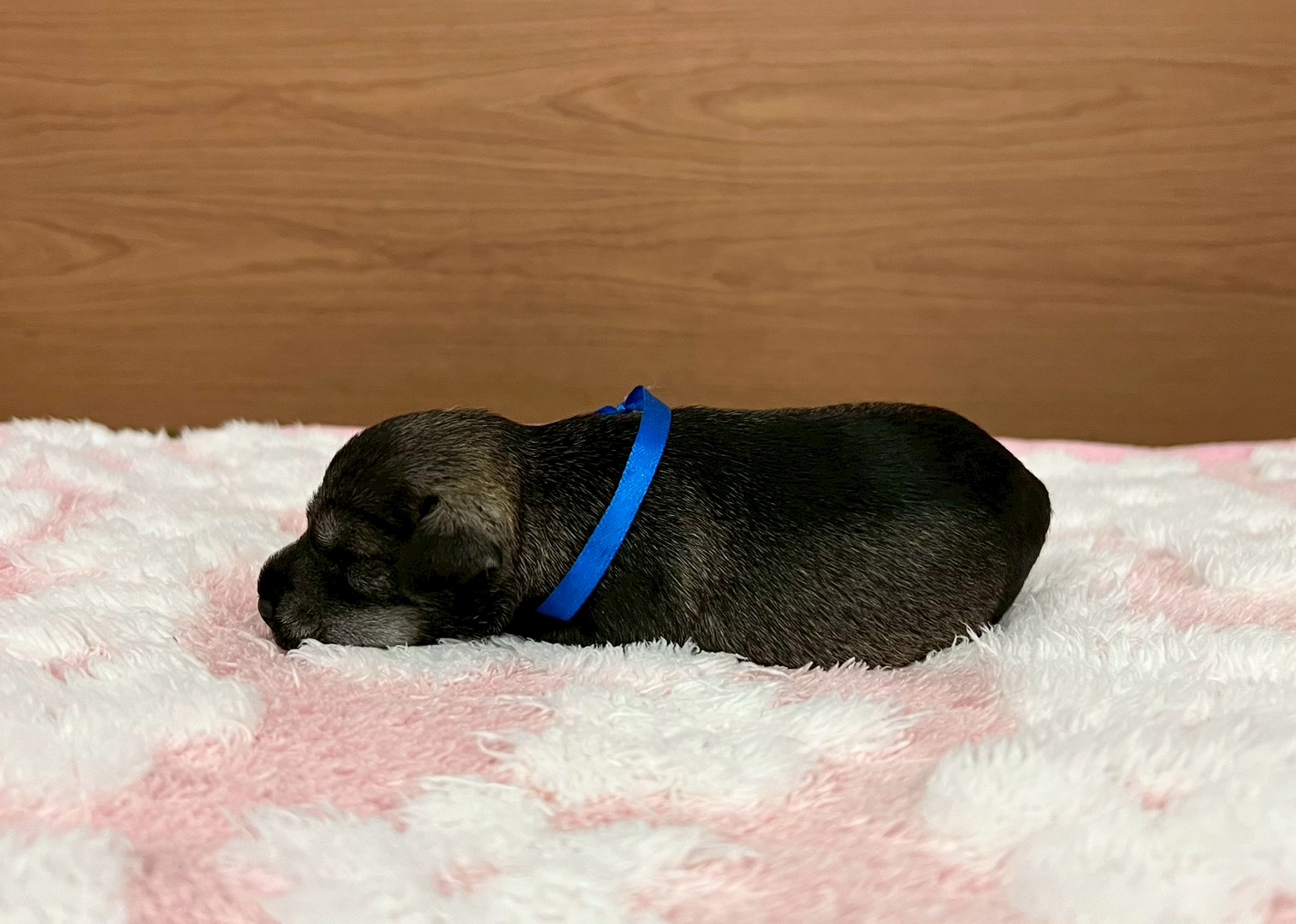 赤ちゃん写真1-2