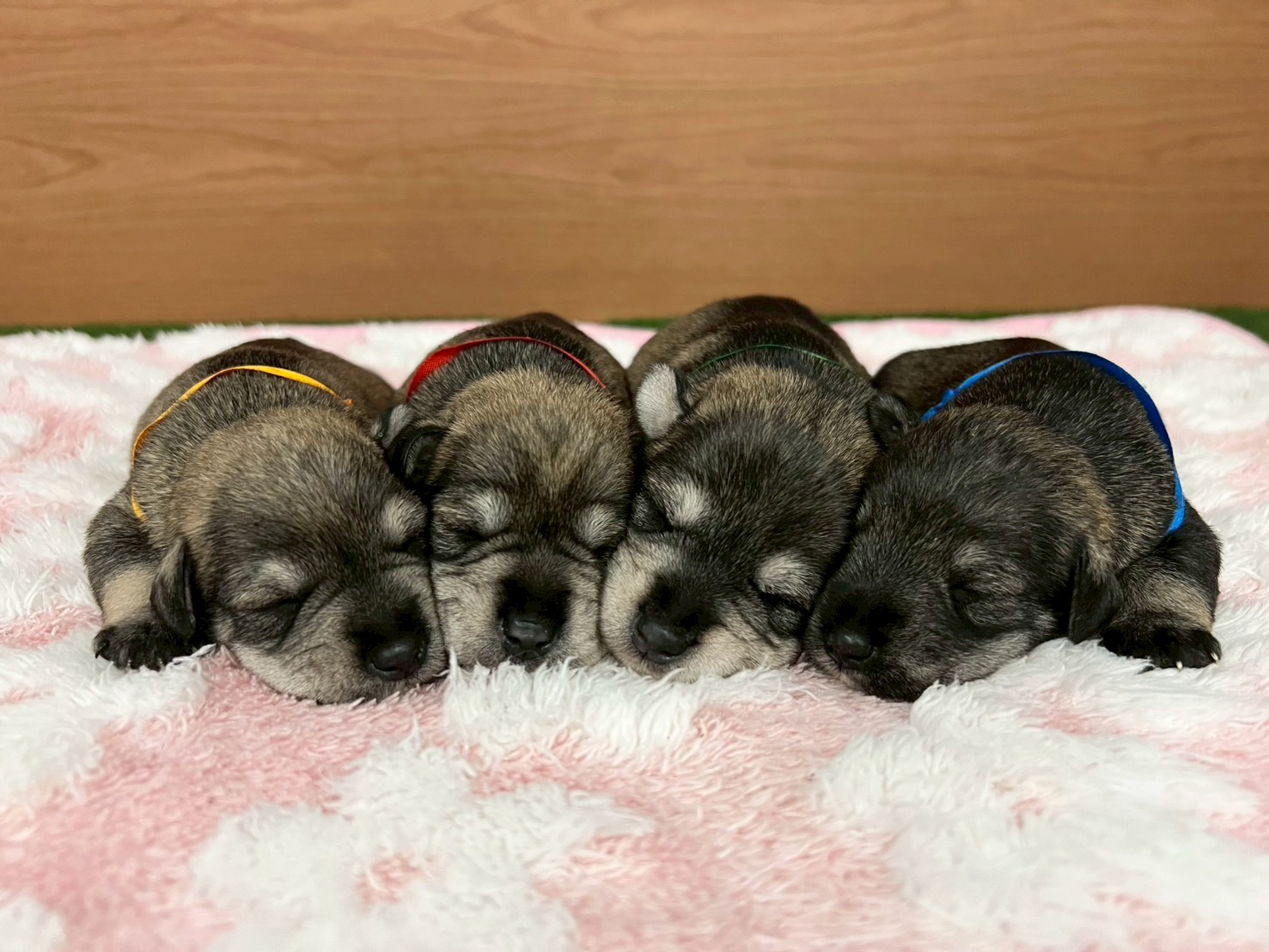 赤ちゃん写真1-3