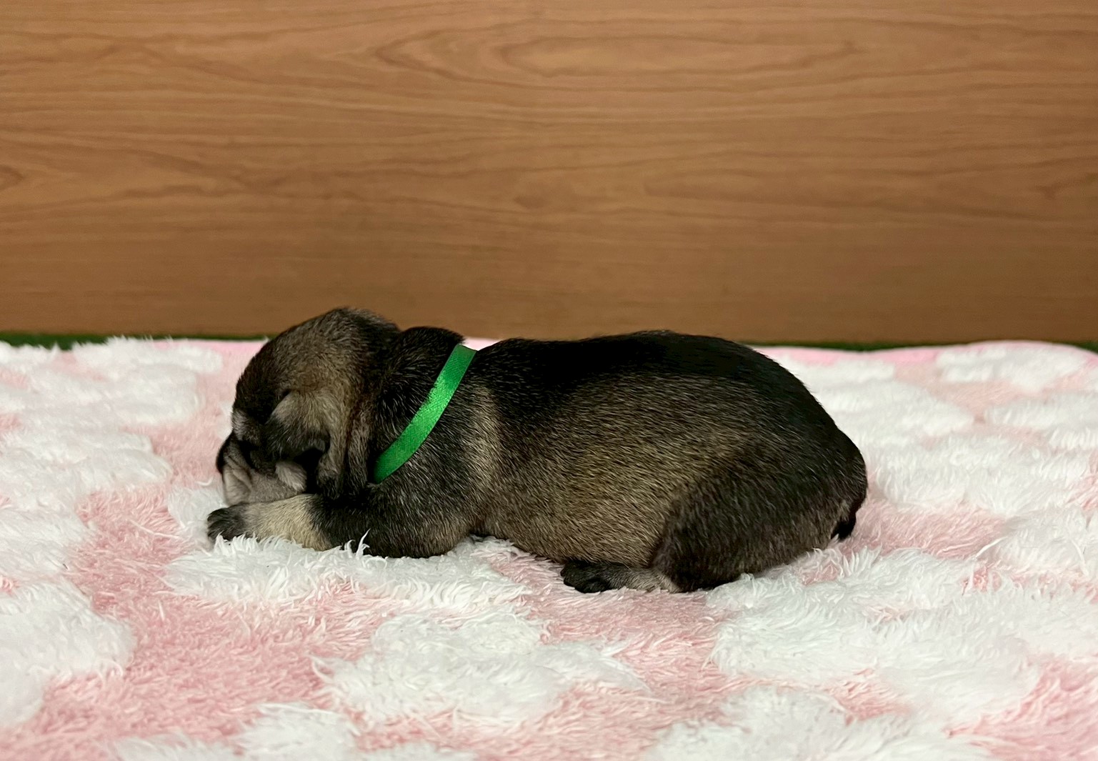 赤ちゃん写真1-2