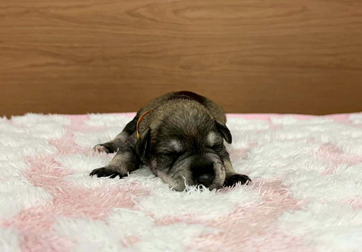 赤ちゃん写真1-1