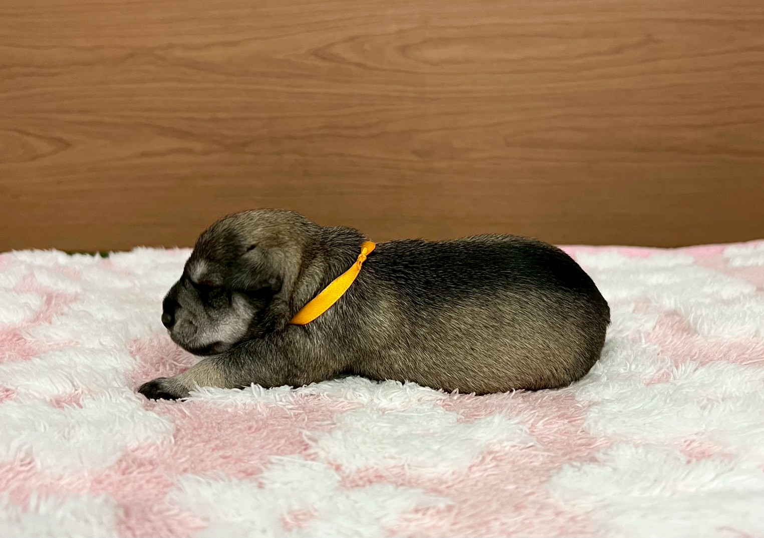 赤ちゃん写真1-2