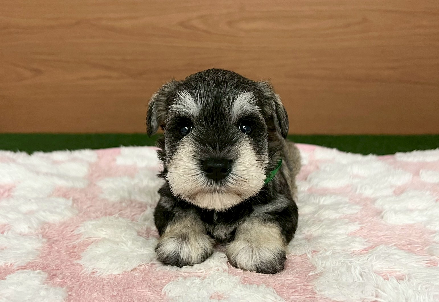 赤ちゃん写真2-1