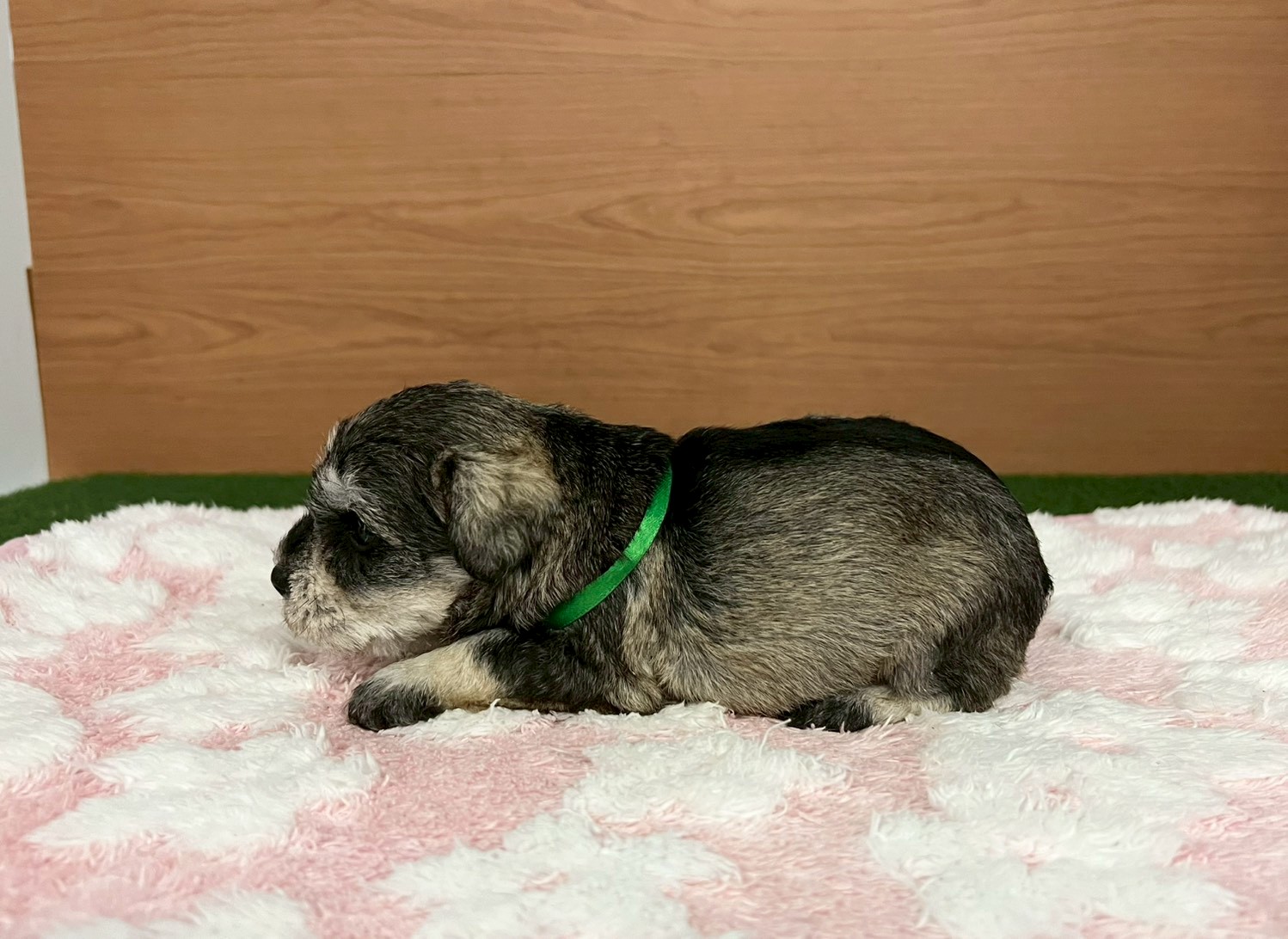 赤ちゃん写真2-2