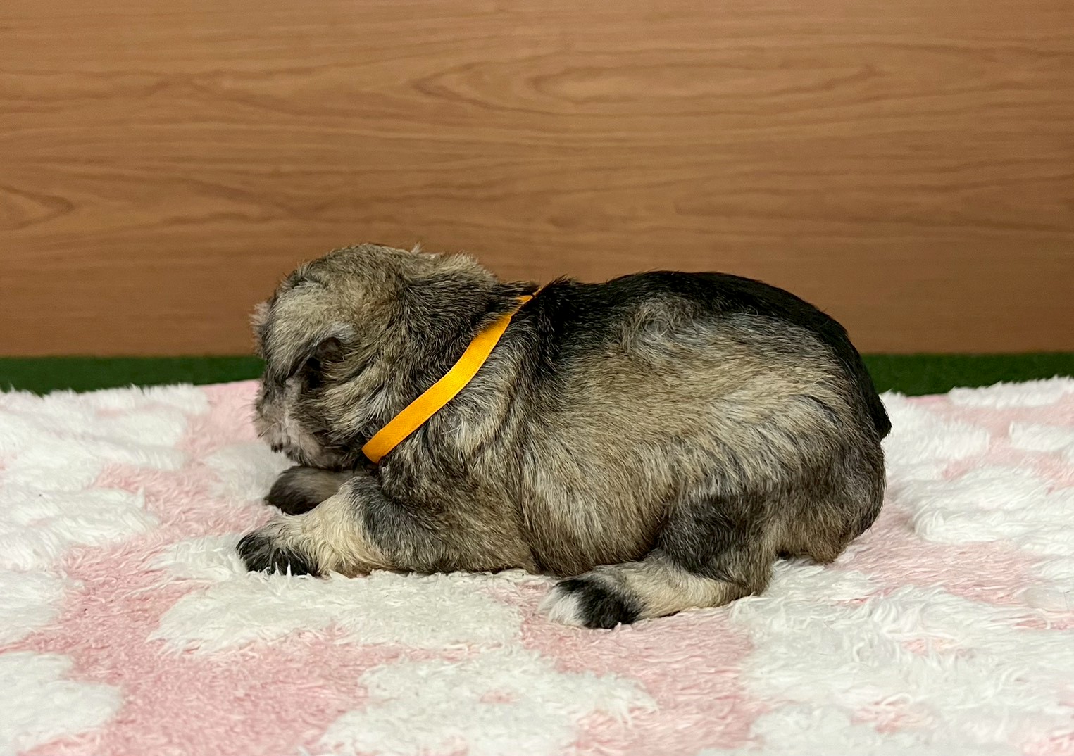 赤ちゃん写真2-2