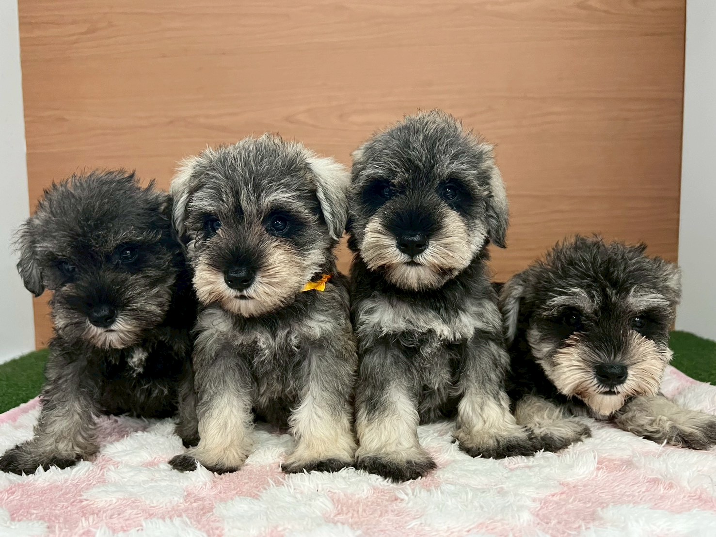 赤ちゃん写真3-3