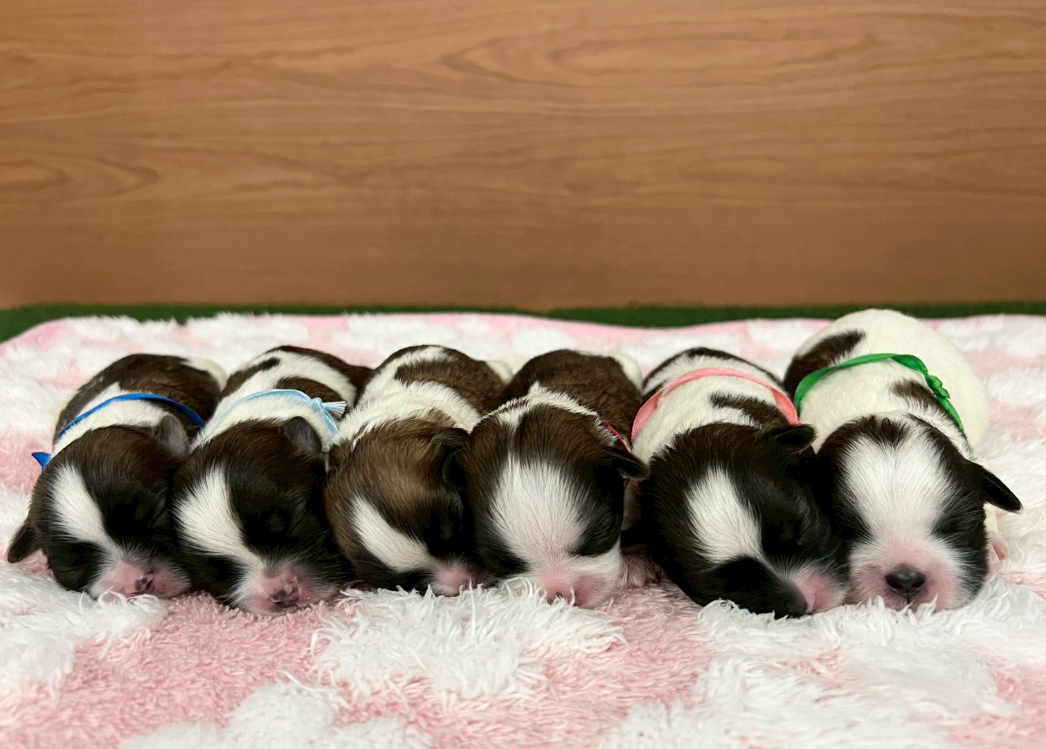 赤ちゃん写真1-3