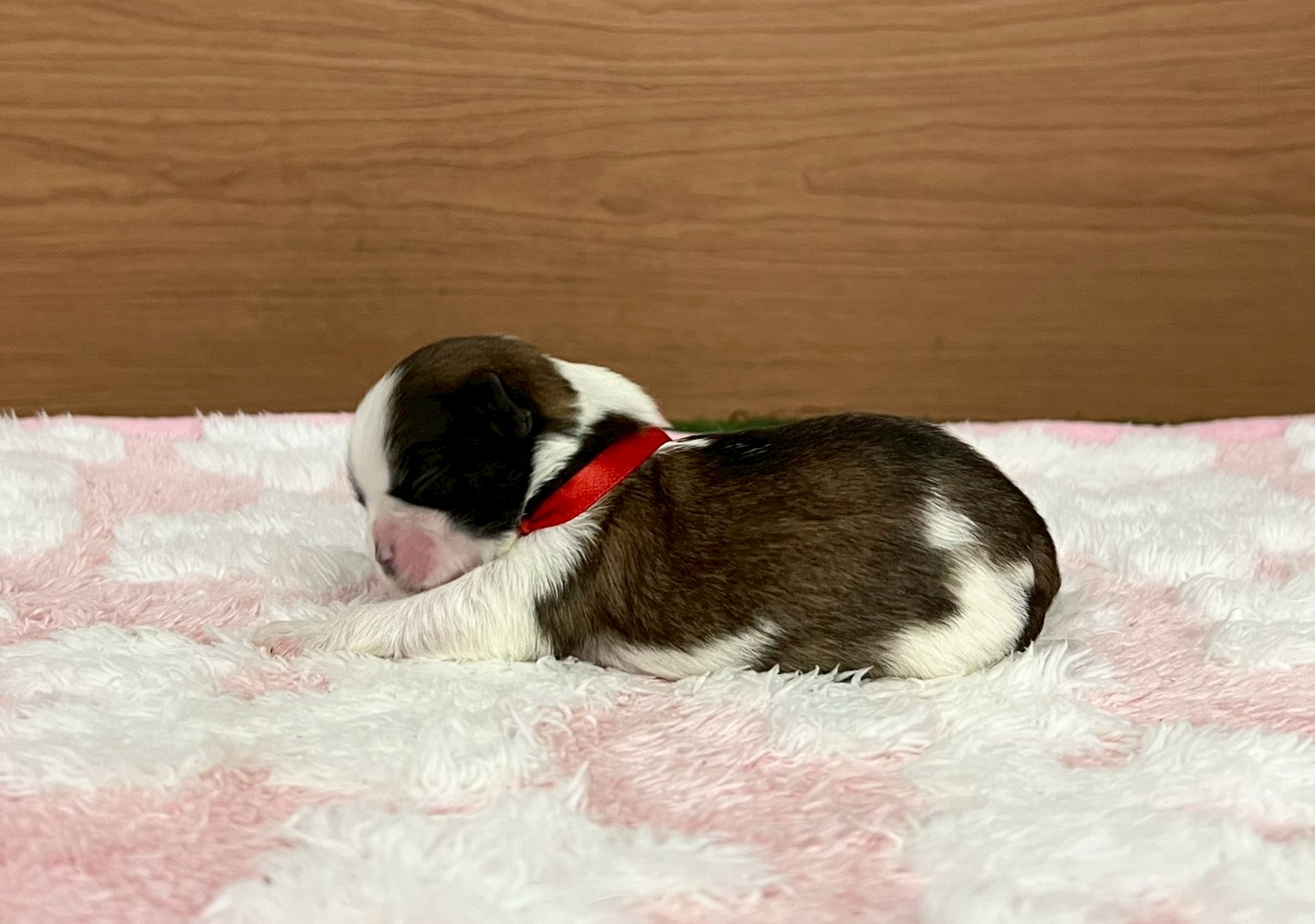 赤ちゃん写真1-2