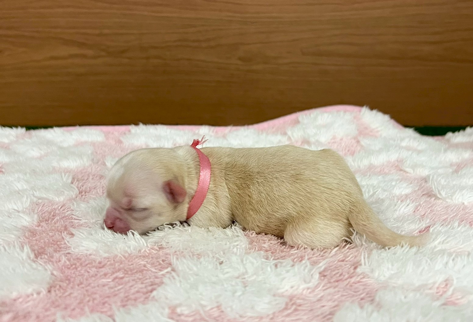 赤ちゃん写真1-2