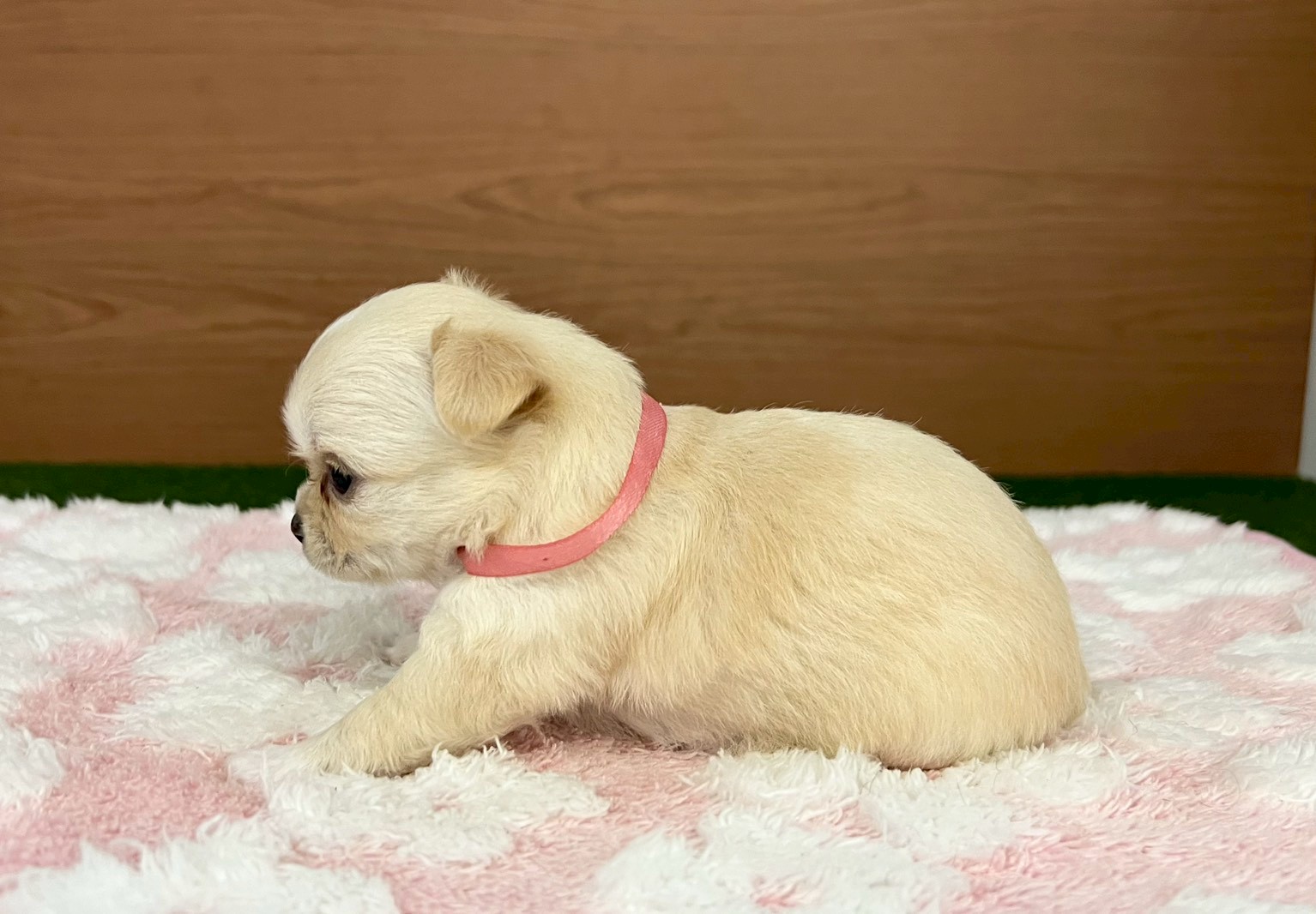 赤ちゃん写真2-2