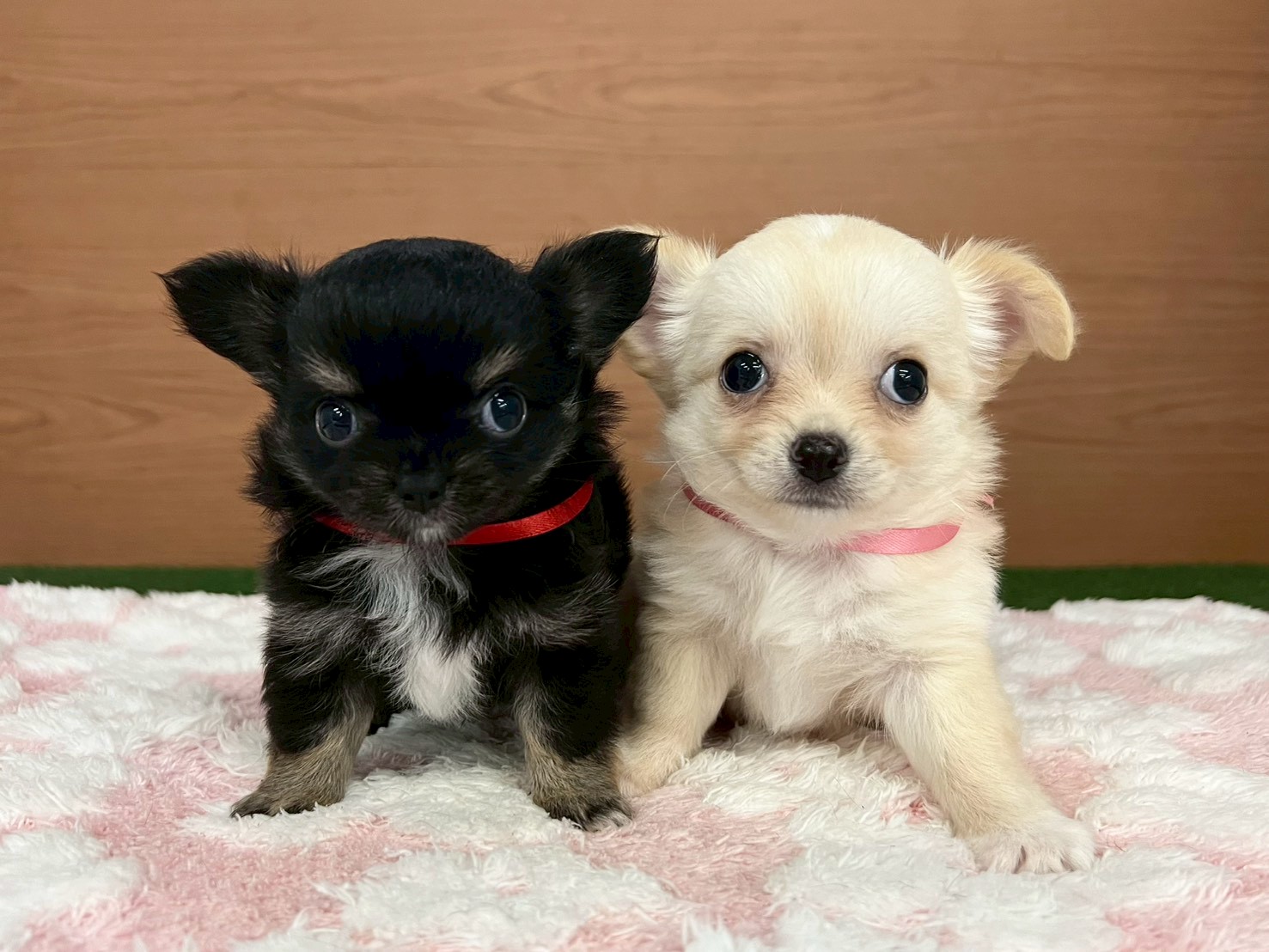 赤ちゃん写真3-3